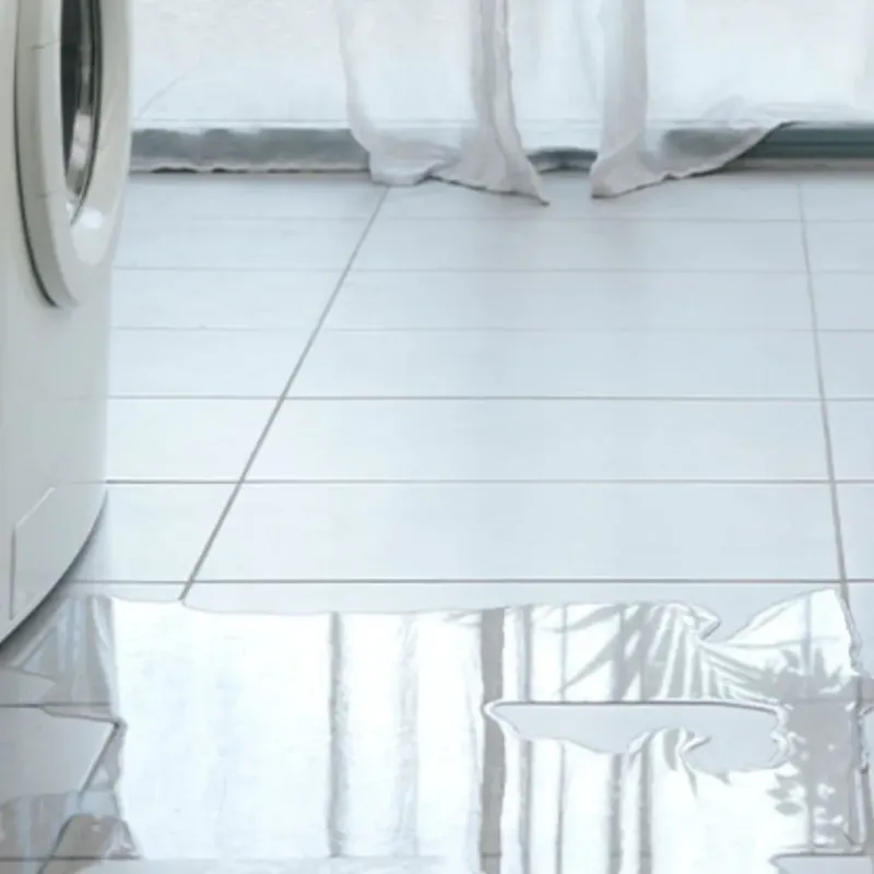 Appliance Leak Cleanup in New Vienna, OH