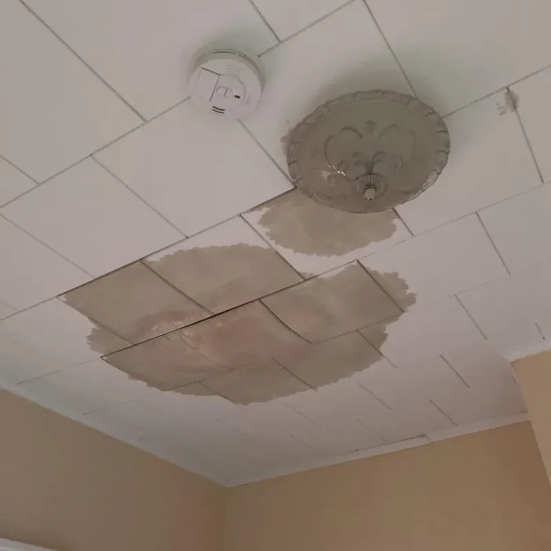 Ceiling Water Damage Repair in New Vienna, OH