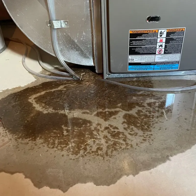 Pipe Burst and Leak Restoration in New Vienna, OH