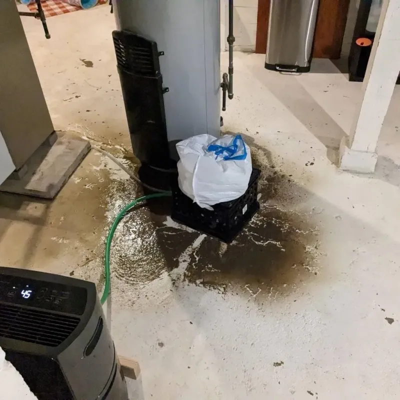 Sewage Backup Cleanup Service in New Vienna, OH
